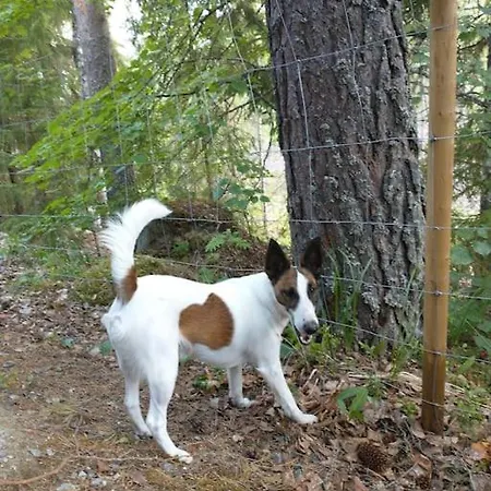 Kuukkelin Koto * Hämeenlinna